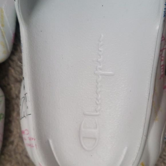 Champion slides - Picture 4 of 12